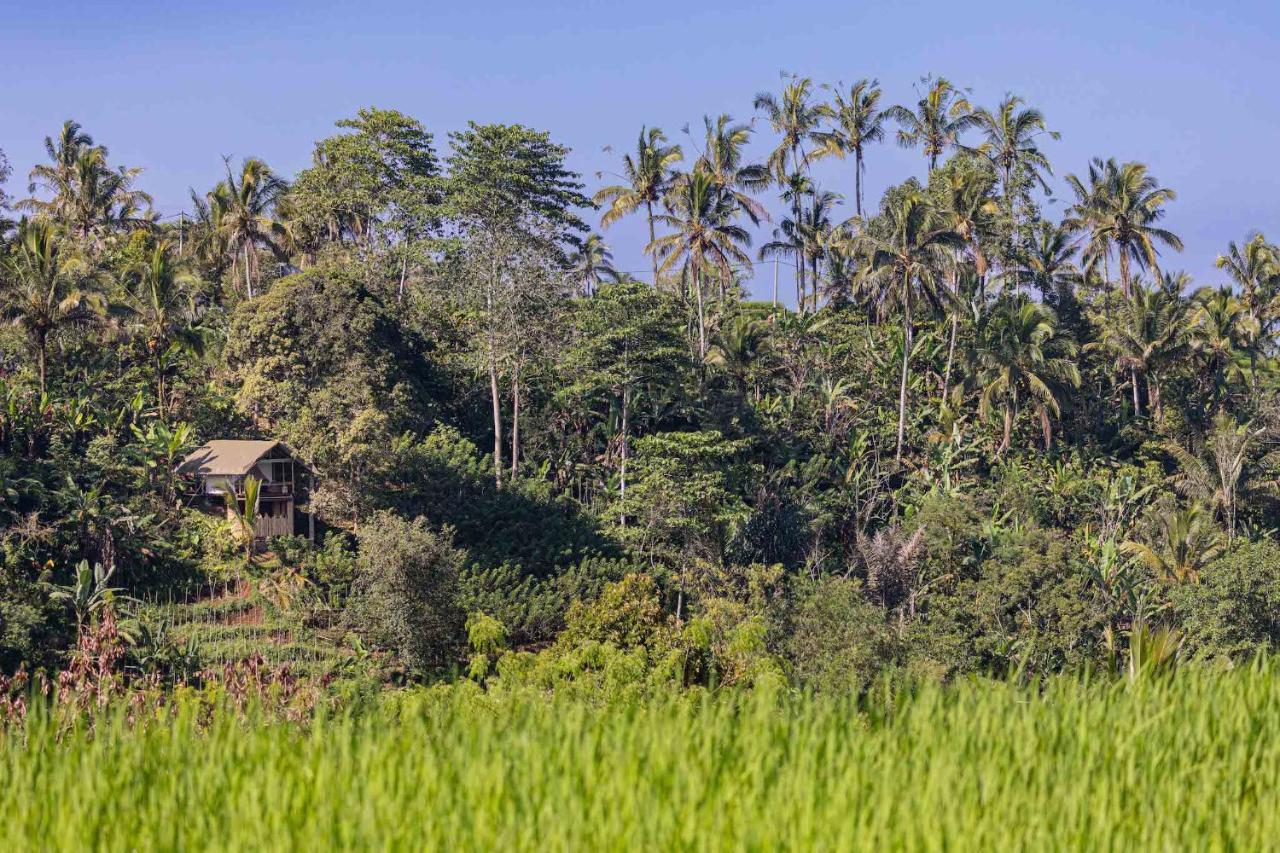 Sanda Plantation Hideaway Esterno foto